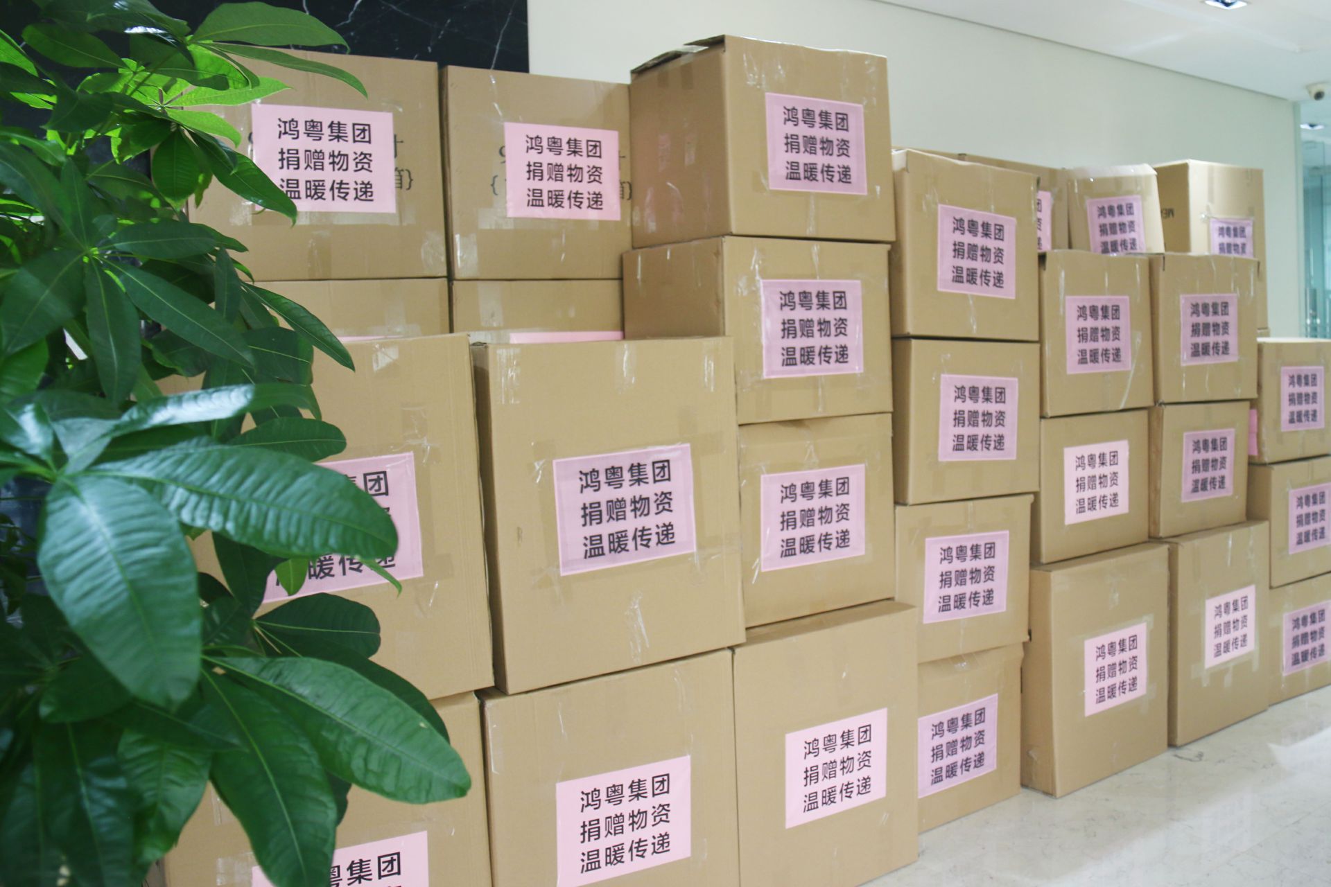 爱游戏·体育-爱游戏(中国)一站式服务官网公益回顾丨家国同欢月同圆 温暖满载甘孜州(图1)